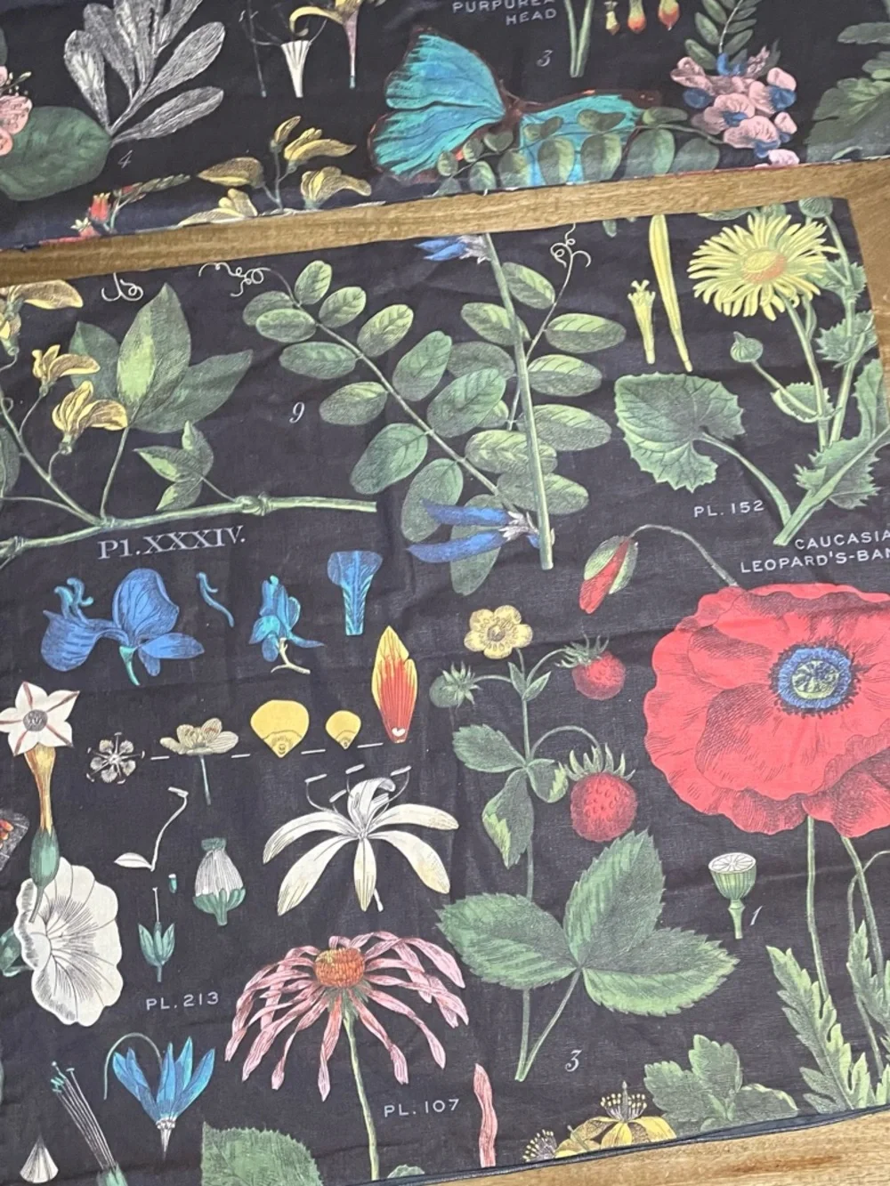 Pottery Barn Poppy Botanical Pillow Covers